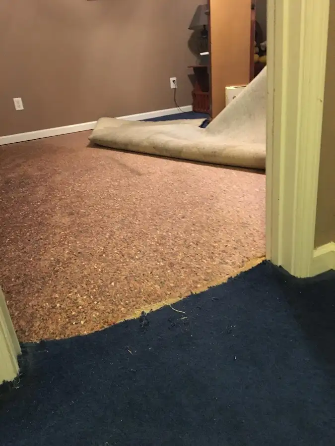 Carpet pad removal revealing water damage during Drying & Dehumidification in West Manheim